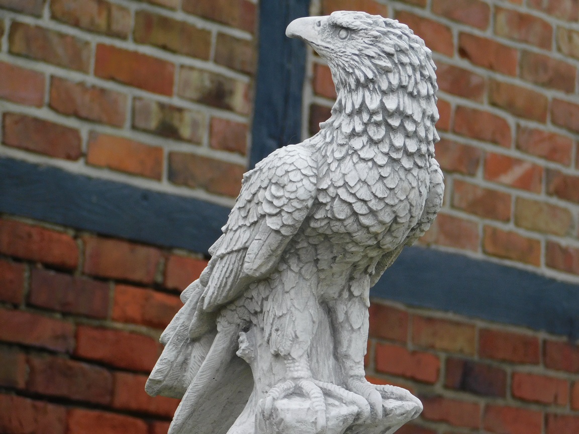 Beeld Adelaar - Steen - Gedetailleerd - Roofvogel Sculptuur