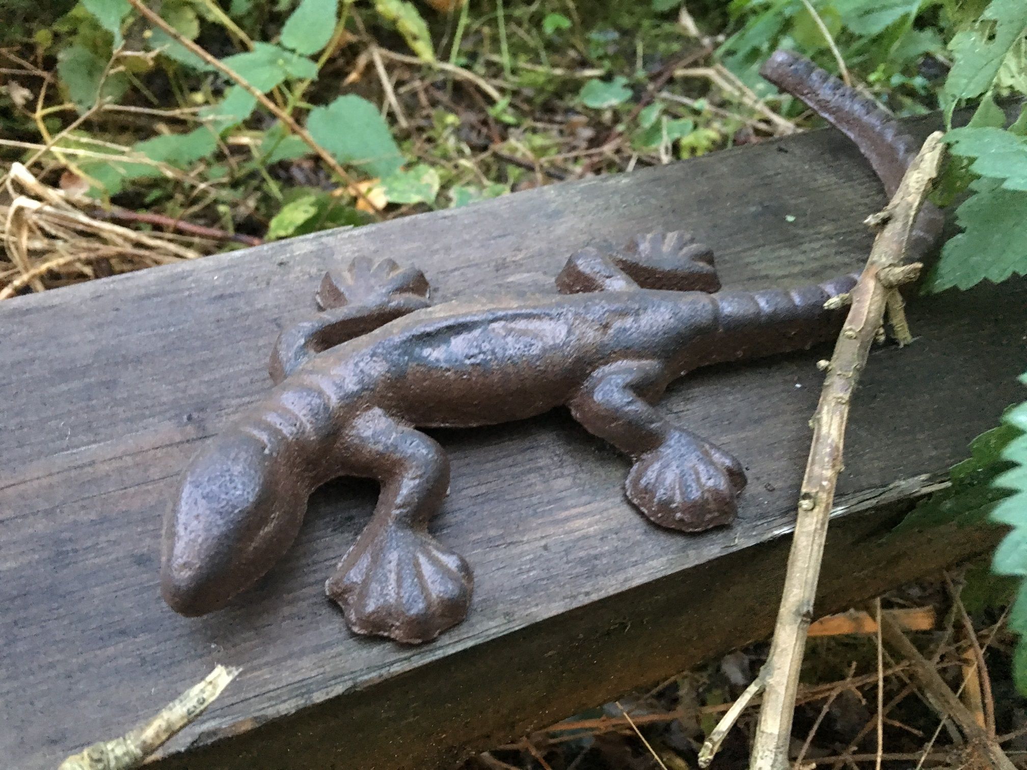 Leuke salamander van gietijzer