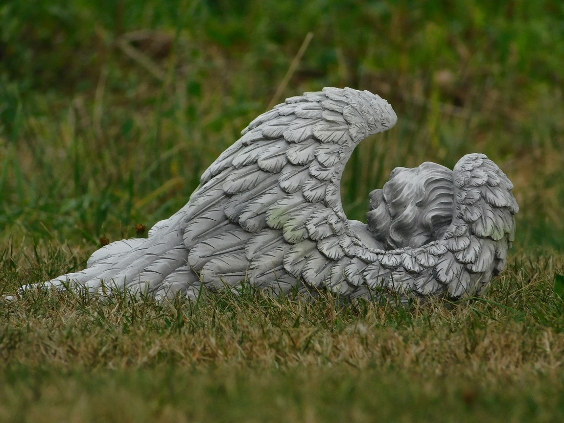 Grote engel - liggend in vleugels - polystone