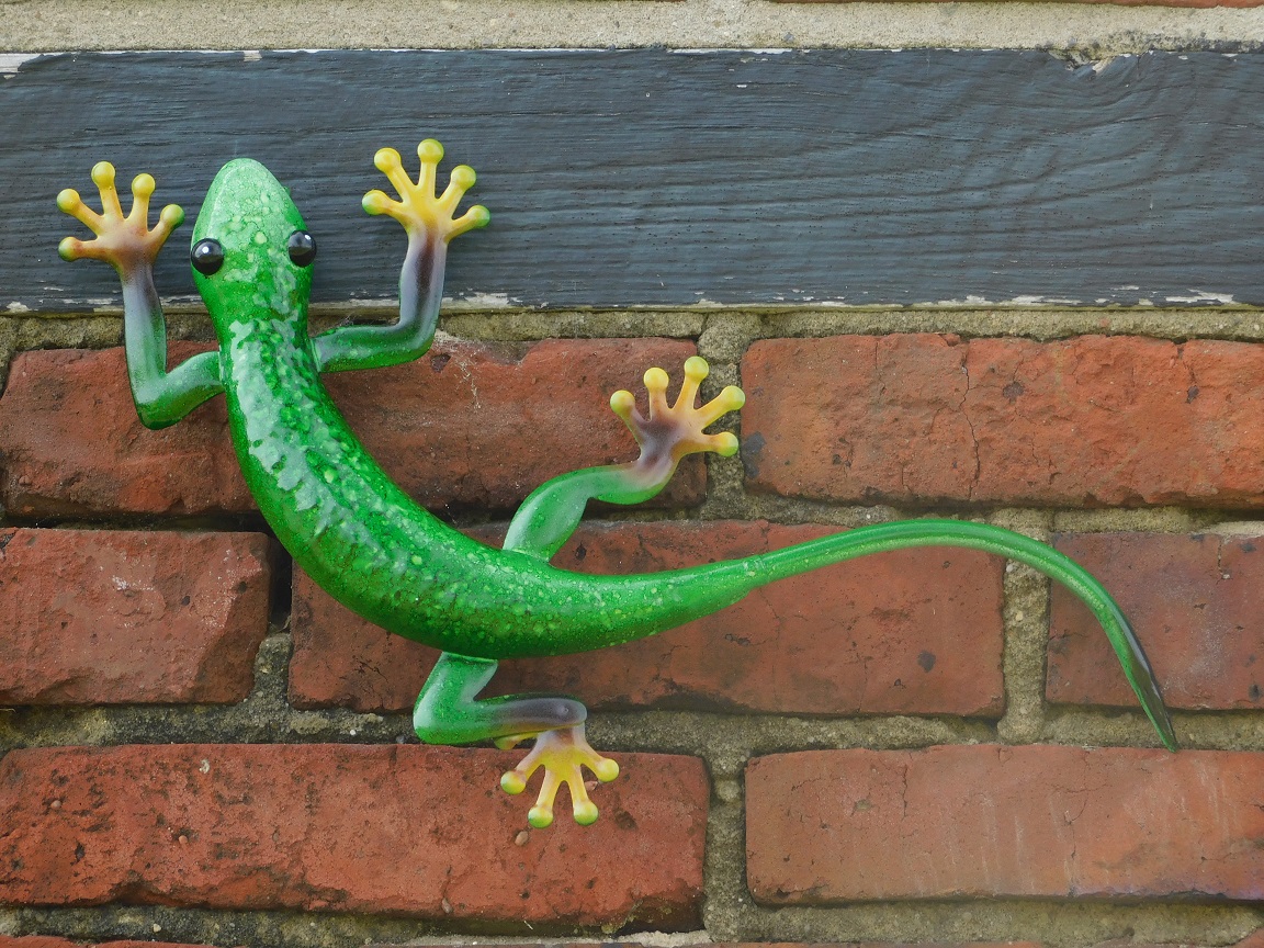 Satz von 4 farbigen Geckos - handbemalt - Metall