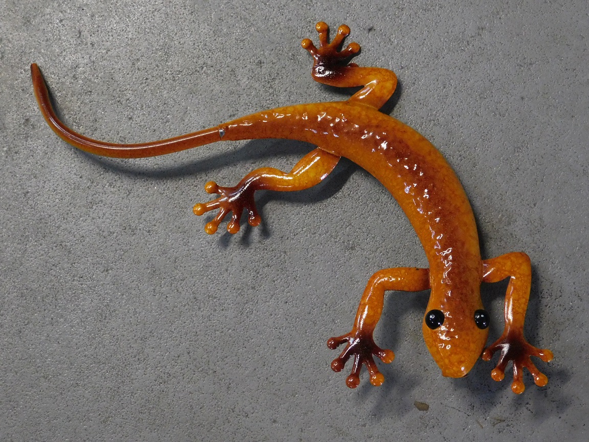 Set van 4 gekko's in kleur - handgeschilderd - metaal