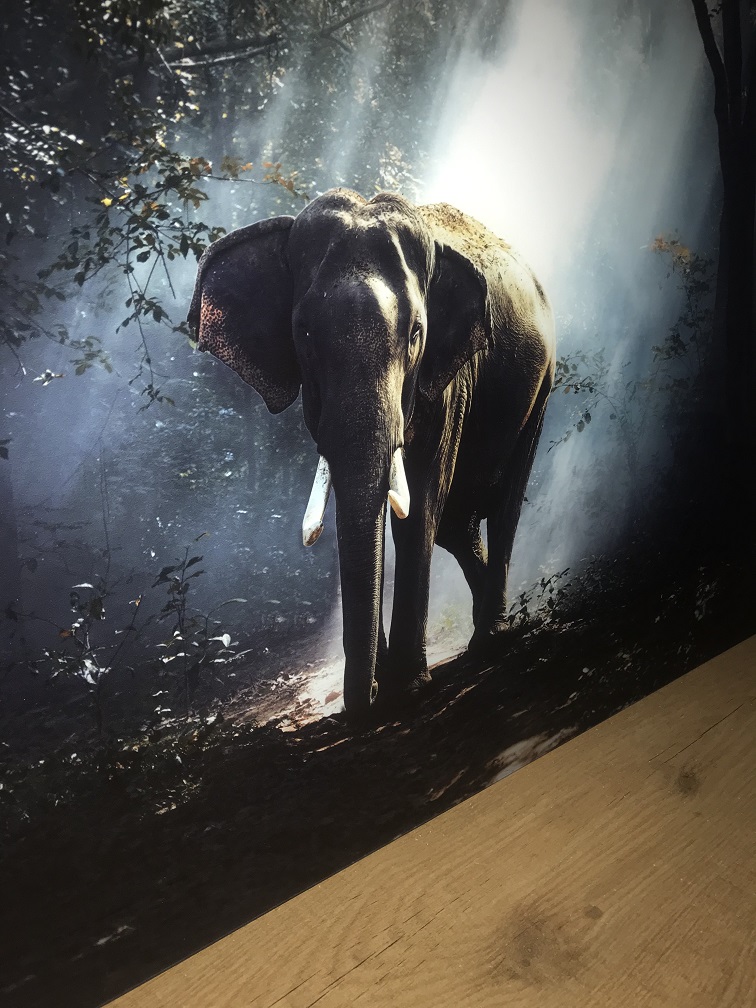 Prachtige kunst op glas van een olifant in een bos, heel mooi!