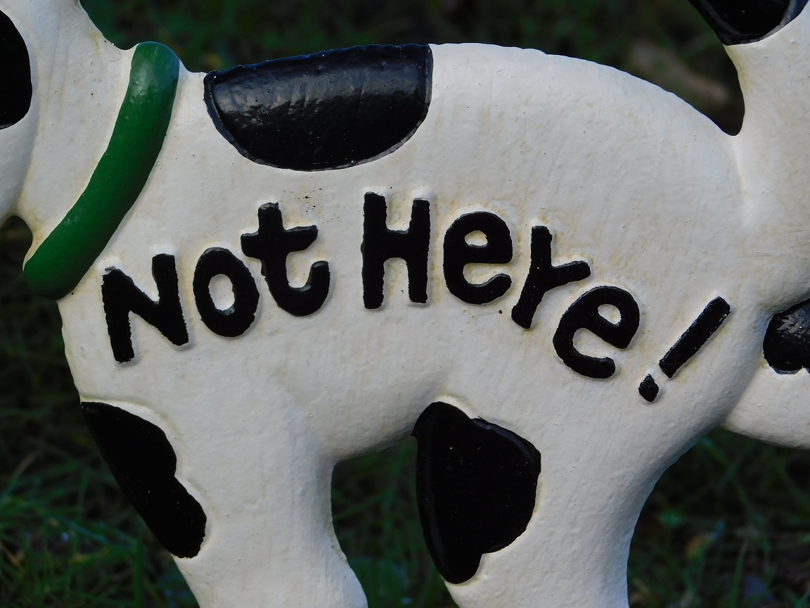 Hondenbordje 'Not Here' - tuinsteker, gietijzer