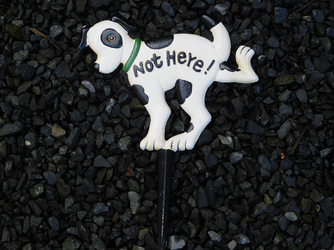 Hondenbordje 'Not Here' - tuinsteker, gietijzer