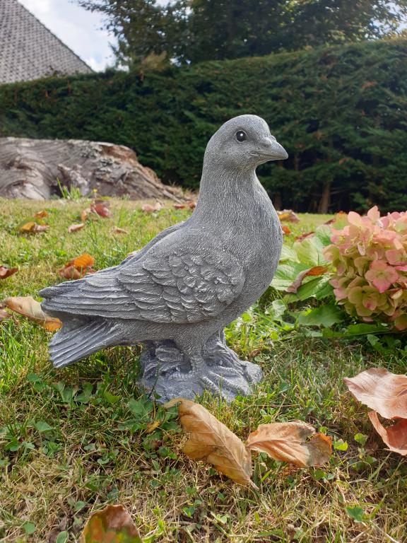 stenen beeld van een duif, voor mooie momenten in de tuin