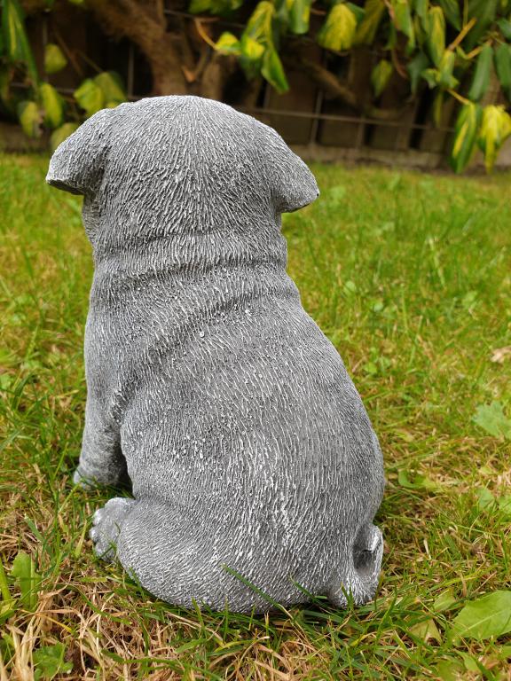 puppy van een mops hond