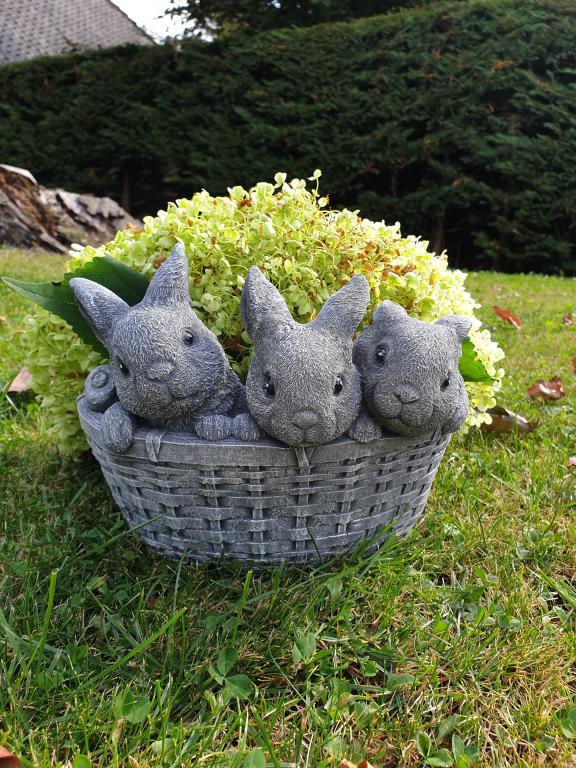 plantenbak met 3 schattige konijntjes