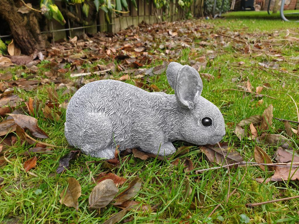 konijn,beeld van een snuffelend konijn