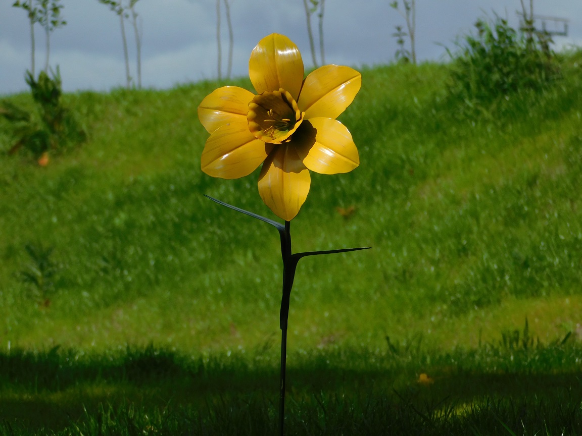 Handgemaakt Narcis - tuinsteker 82 cm - metaal