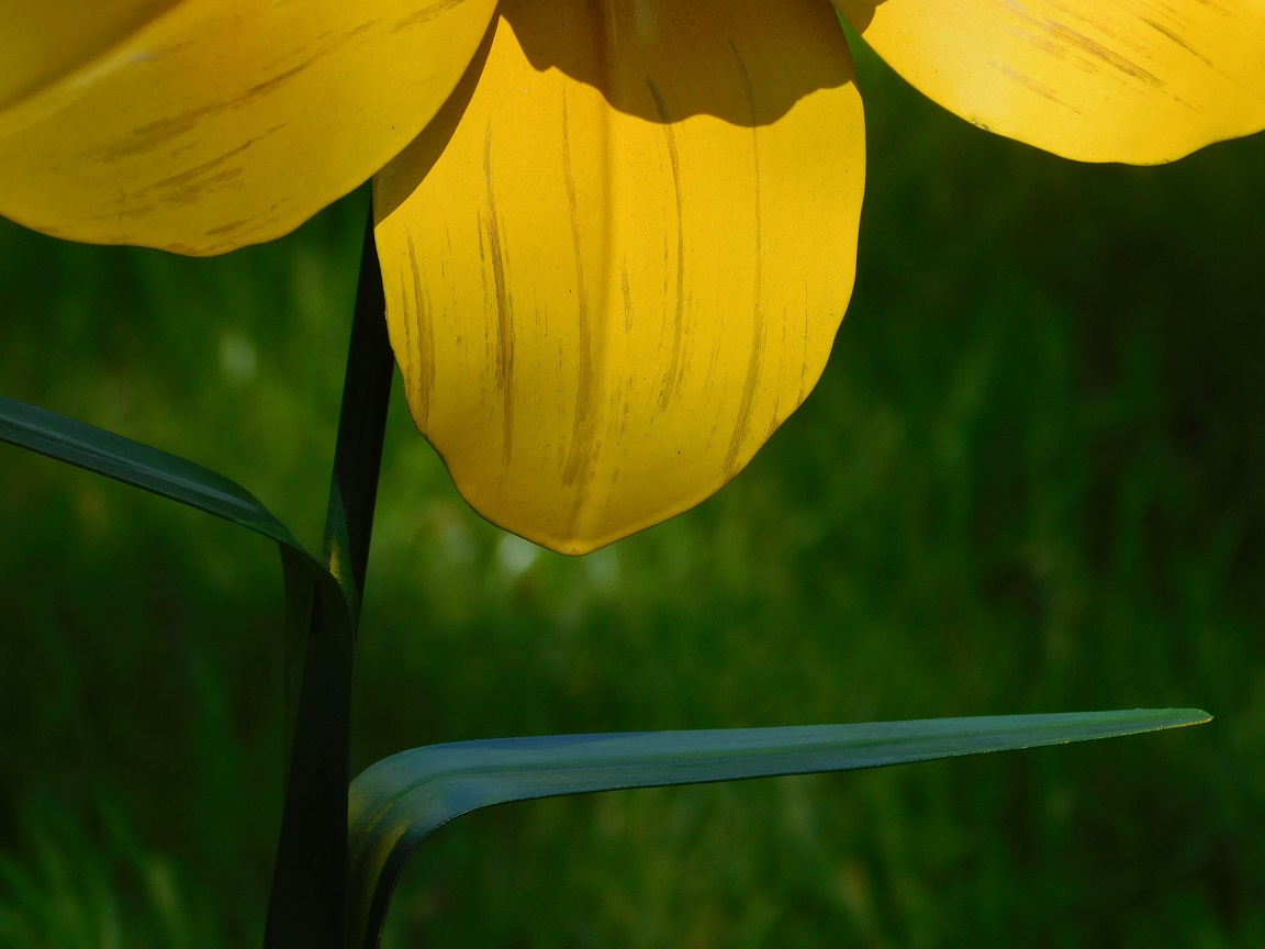 Handgemaakt Narcis - tuinsteker 82 cm - metaal