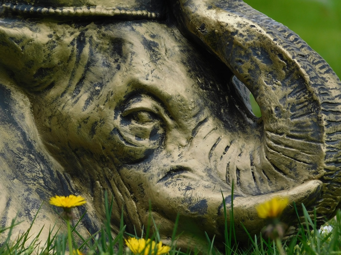 Einzigartiger Blumentopf Elefant - Polystone - Gold mit Schwarz