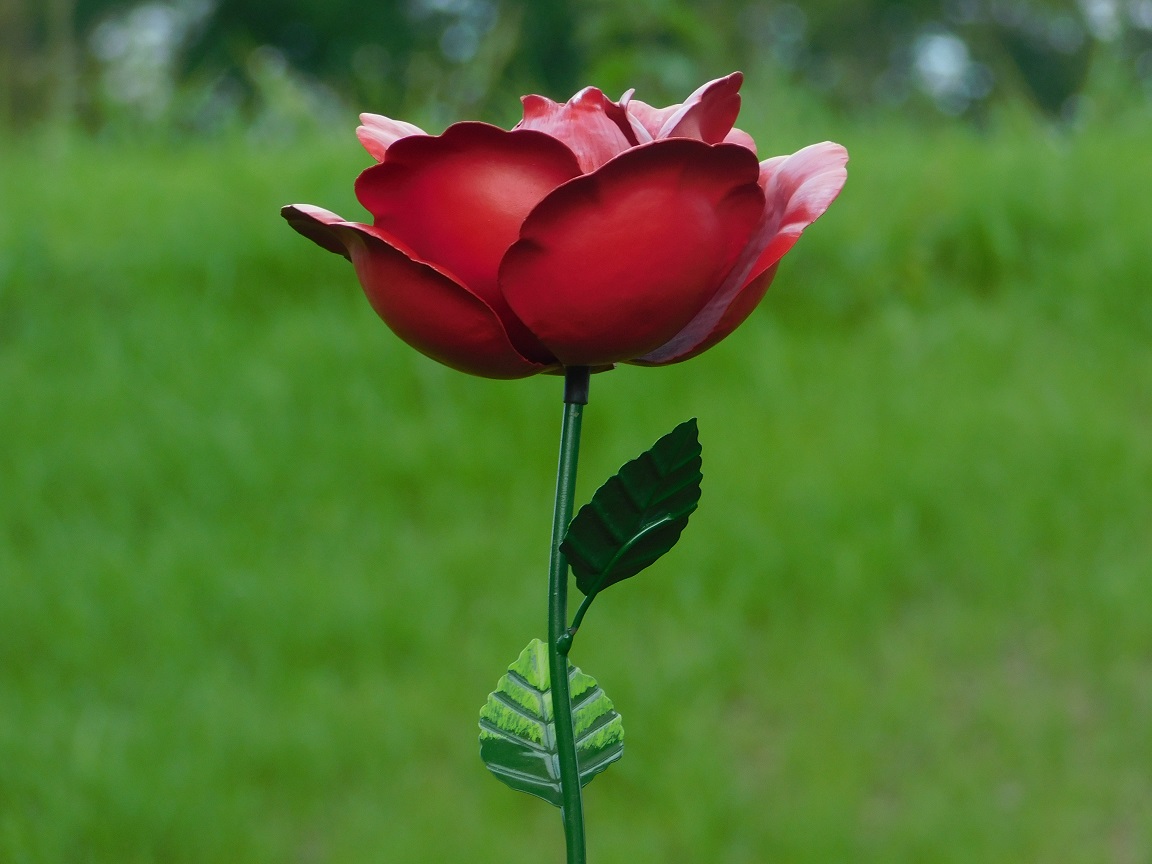 Handgemaakte Roos - tuinsteker 85 cm - metaal