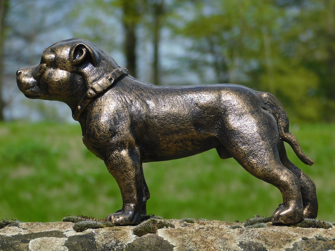 Beeld Pitbull - gietijzer - brons look - honden sculptuur