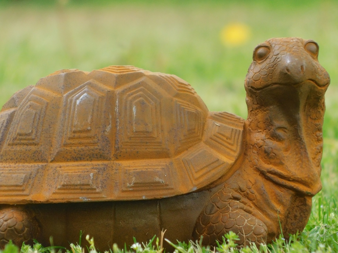 Schildkrötenstatue aus Gusseisen - detailliert 