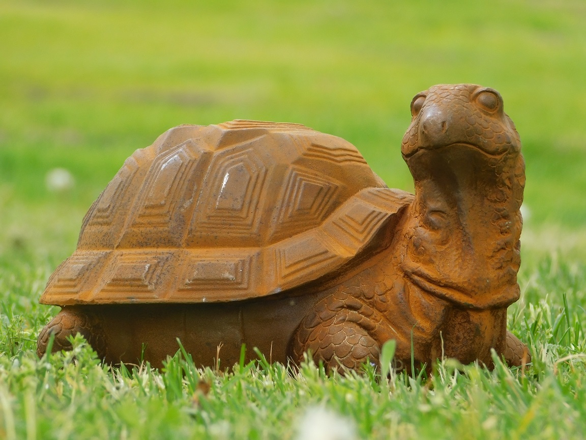 Schildkrötenstatue aus Gusseisen - detailliert 