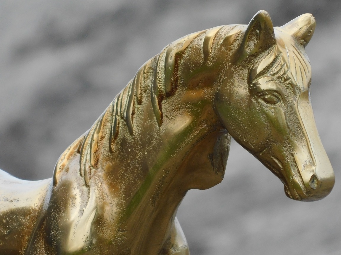 Sculptuur paard - goud - alu