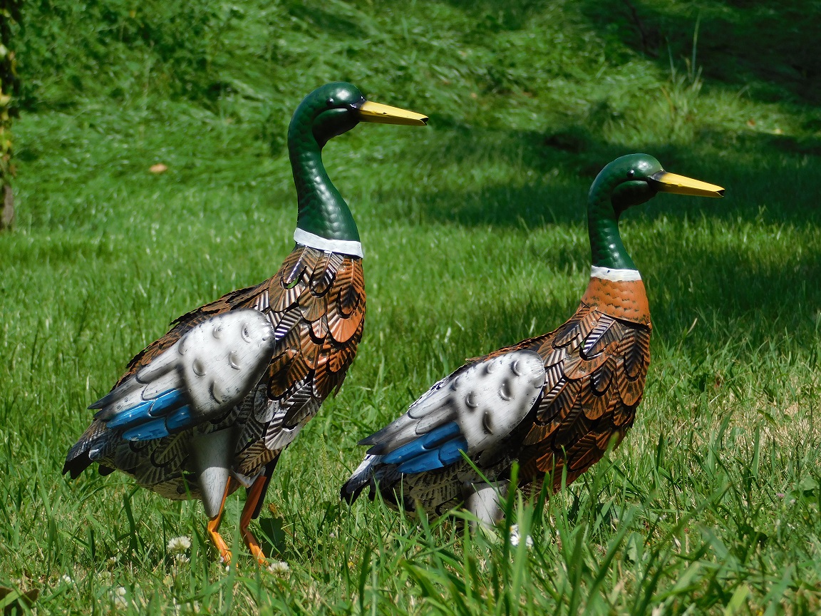 Set von 4 Metall Garten Ente Dekoration Enten Familie Garten