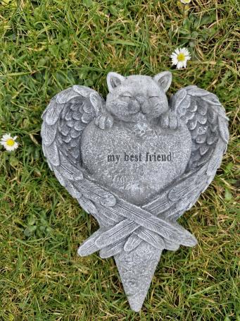 Grafbeeld voor een poes , kat , beton