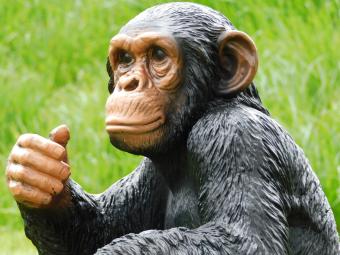 Statue Affe - 37 cm - Polystone