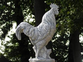 Gartenfigur „Hahn“ XL – 65 cm – Stein