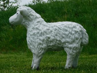 Beeld Schaap - 50 cm - Polystone