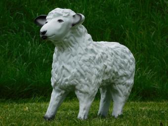 Beeld Schaap - 50 cm - Polystone