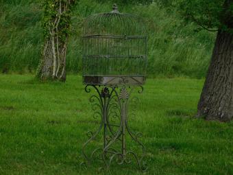 Decoratieve Vogelkooi - 120 cm - Staand - Metaal