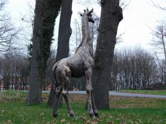 Einmalig: Giraffe XL – 180 cm – Polystone