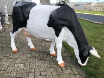 Mooie sculptuur van een grote koe, prachtig in kleur gezet, echte eye-catcher!!