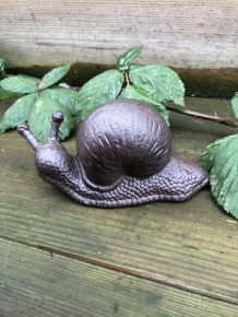Gusseisen Schnecken braun