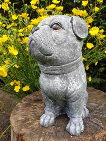 betonbeeld hond cas