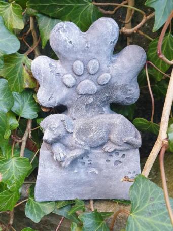 grafsteen voor hond
