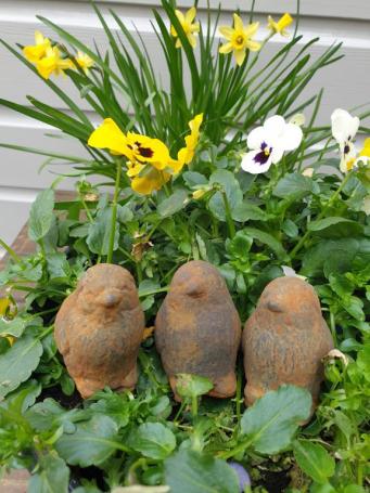3 kuikentjes, kuiken , beton tuinbeeld