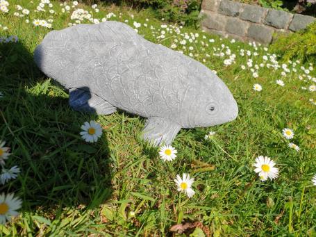 Koi-Karpfen, Gartenstatue