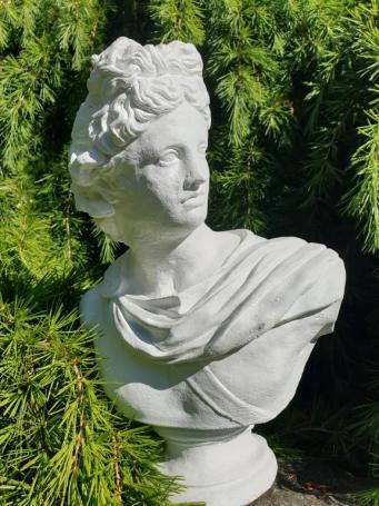 Büste Statue, David