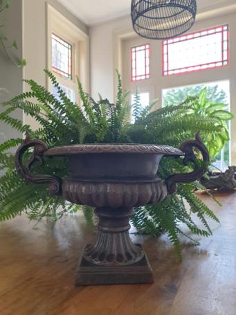landelijke plantenbak