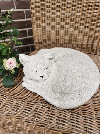 Zusammengekauerte, lebensecht wirkende Katze, Beton