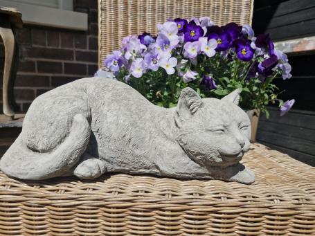 Tuinbeeld poes , daisy