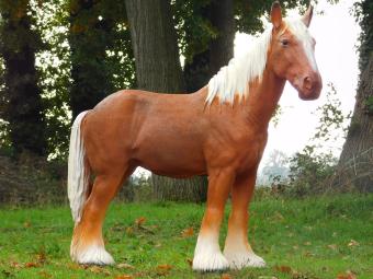 Statue Pferd Blond – 110 cm – Polystone
