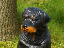 Prachtig polystonen beeld van een rottweiler.