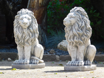 Set Leeuwen - Links & Rechts - Vol Steen