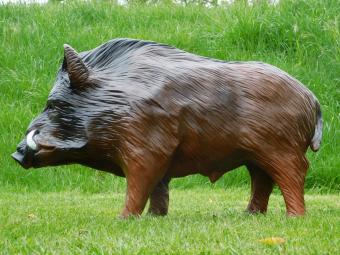 Wild Zwijn - Everzwijn - 100 cm - Polystone