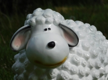 Beeld schaap - wit - polystone