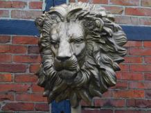Eenmalig: Grote Leeuwenkop op Standaard - 120 cm - Messing - aluminium