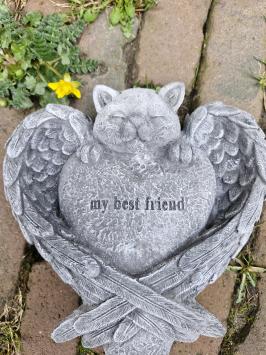 Grafbeeld voor een poes , kat , beton