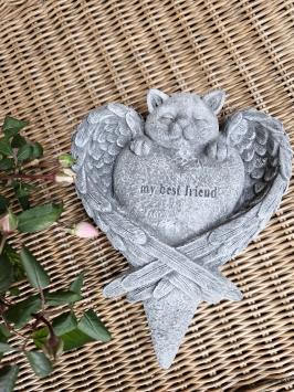 Grafbeeld voor een poes , kat , beton