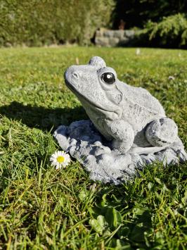 Gartenstatue eines Frosches, Frosch