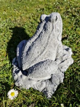 Gartenstatue eines Frosches, Frosch