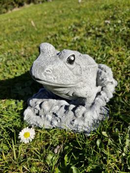 Gartenstatue eines Frosches, Frosch