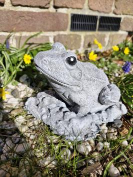 Gartenstatue eines Frosches, Frosch